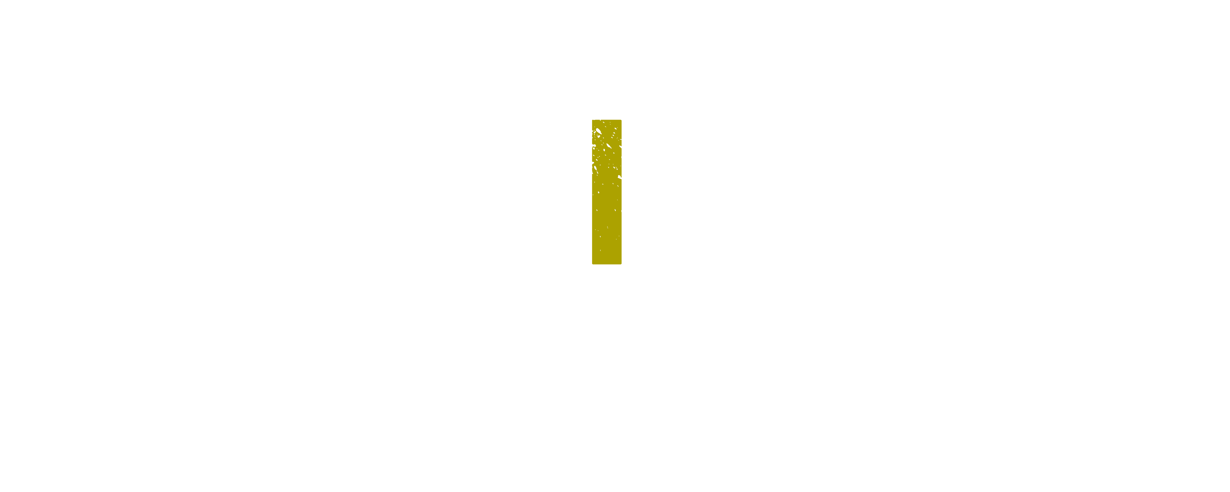 Fest i Vest 